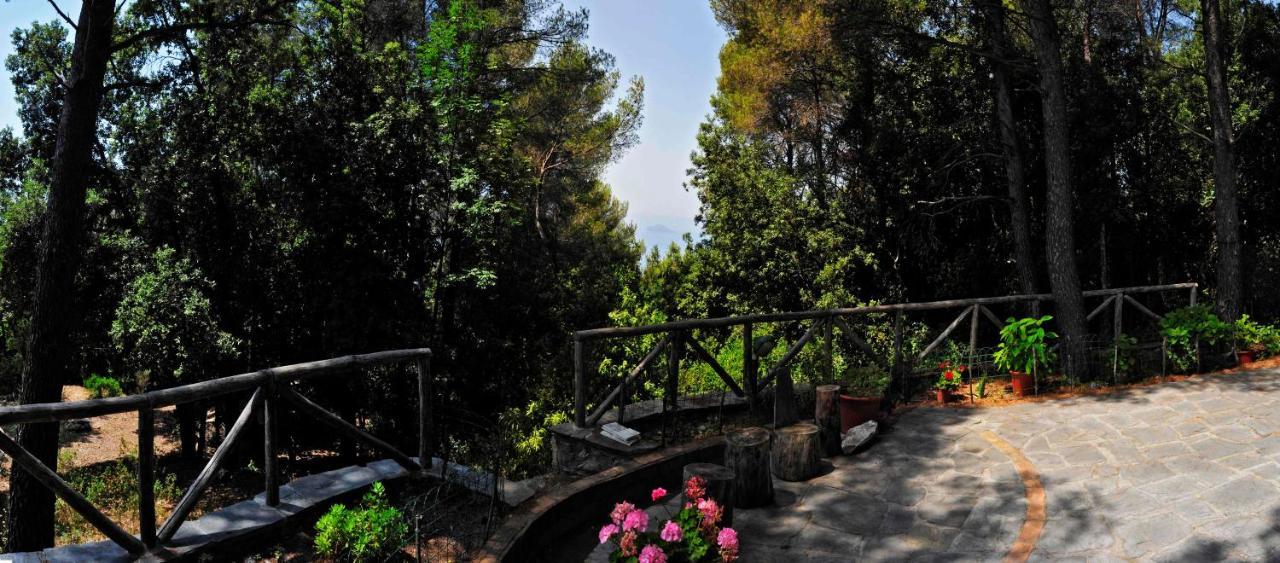 B&B Al Cavalluccio Marino Monte Marcello Buitenkant foto