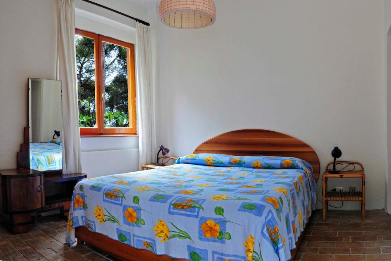 B&B Al Cavalluccio Marino Monte Marcello Buitenkant foto